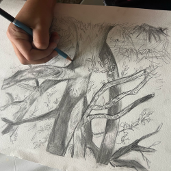 Structures shapes; Shadow and Colors- June 1st- June 5th